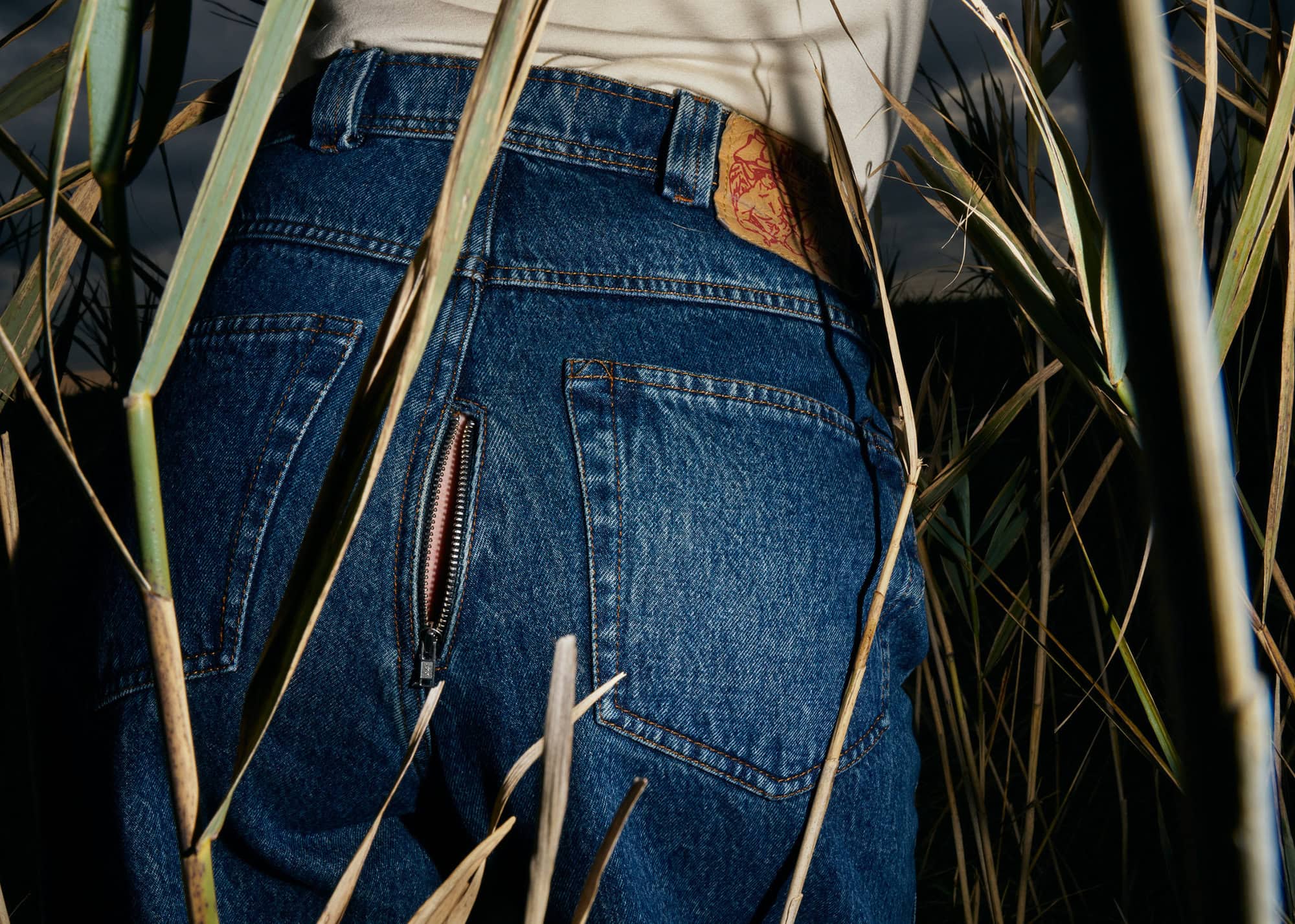 Close-up of denim jeans with a zipper detail on the back pocket, amidst tall reeds in a natural outdoor setting.