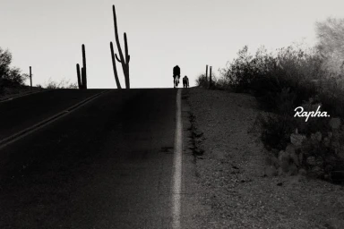 Two cyclists riding up an asphalt road silhouetted against a bright sky with saguaro cacti on the roadside.