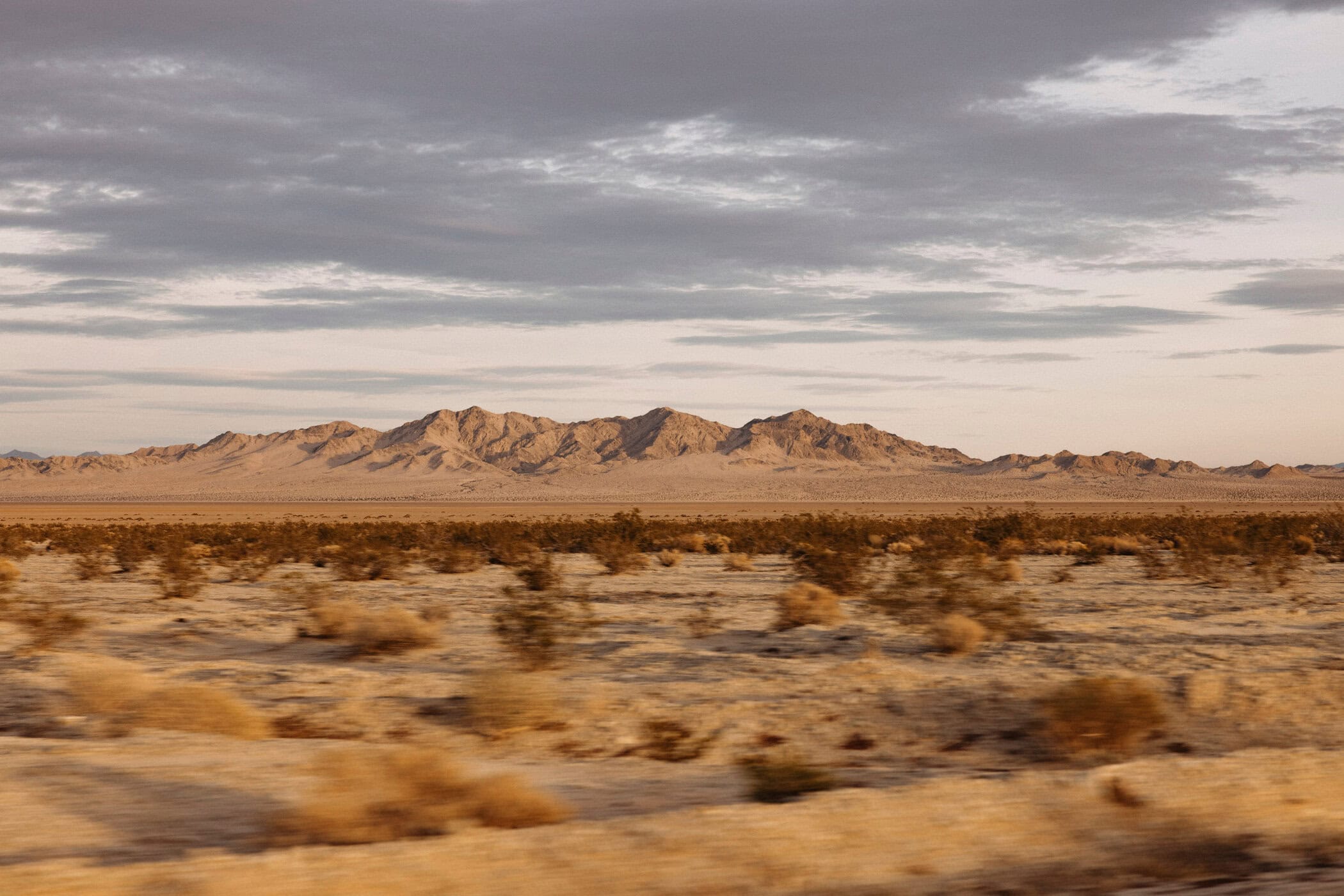Desert landscape featuring arid vegetation and distant mountains under a cloudy sky, capturing the stark beauty of the environment.