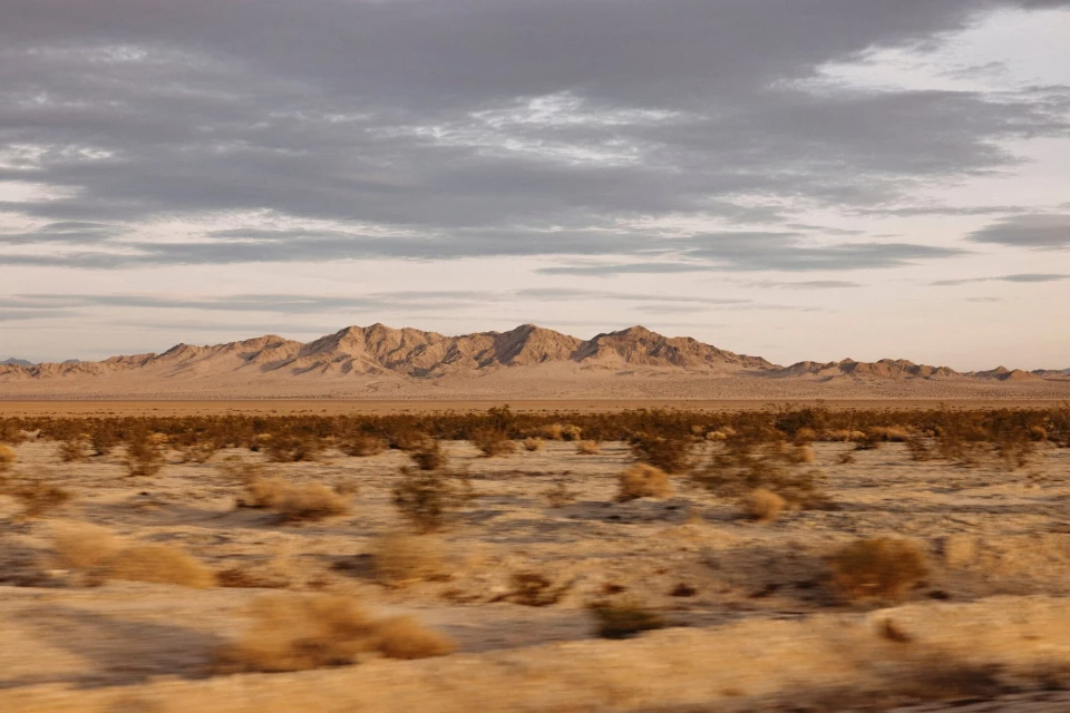 Desert landscape featuring arid vegetation and distant mountains under a cloudy sky, capturing the stark beauty of the environment.