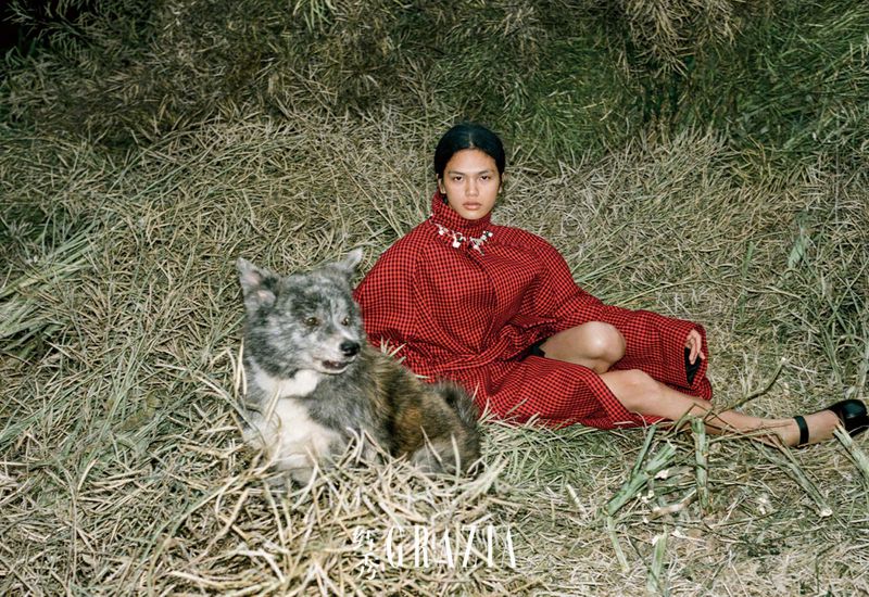Woman in a red coat seated next to a wolf in a field of tall grass, fashion editorial style, shot for Grazia magazine.