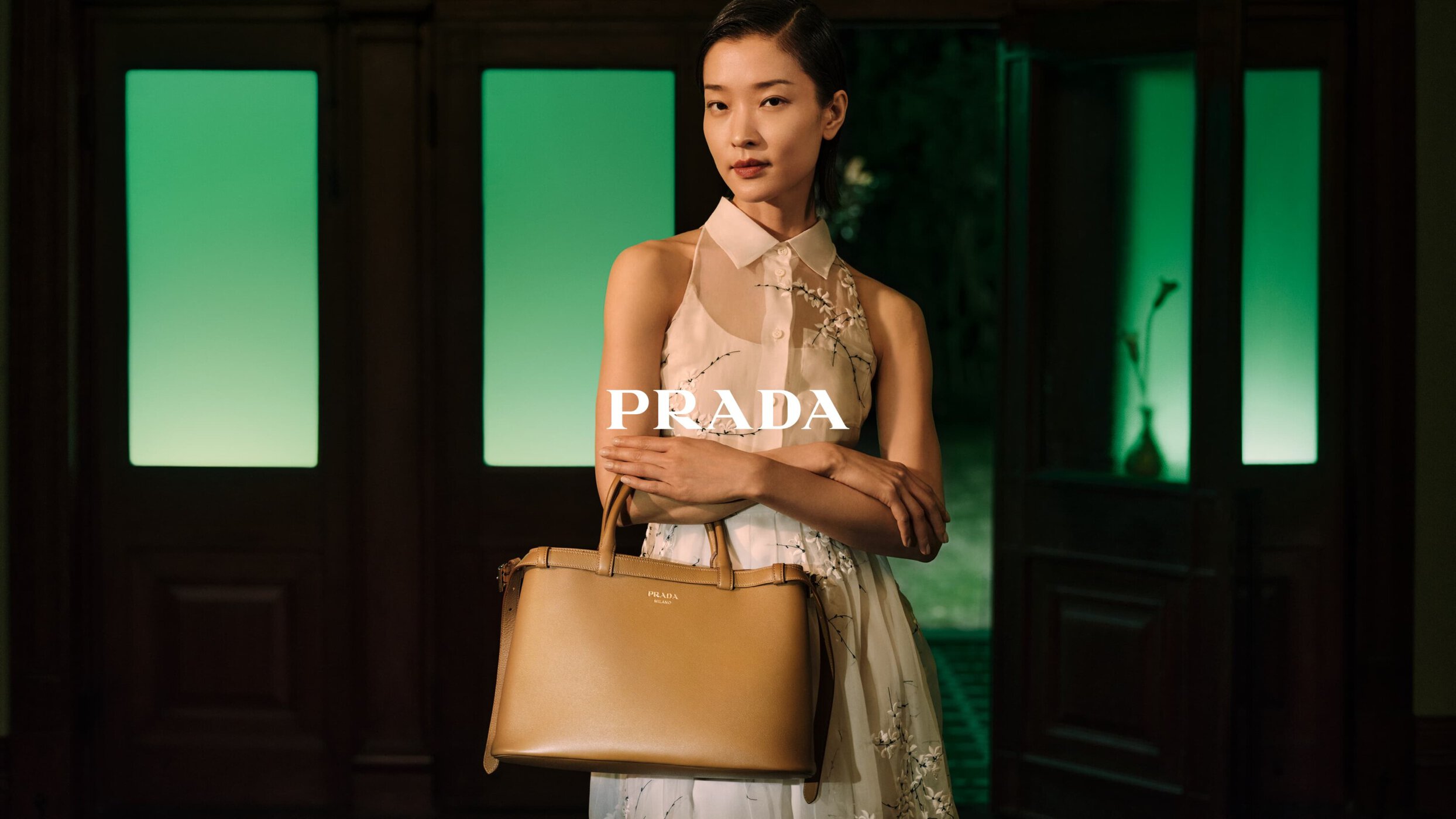 Asian woman poses indoors in dress with handbag. Neutral color palette, low-key lighting, backdrop with doors and plant.