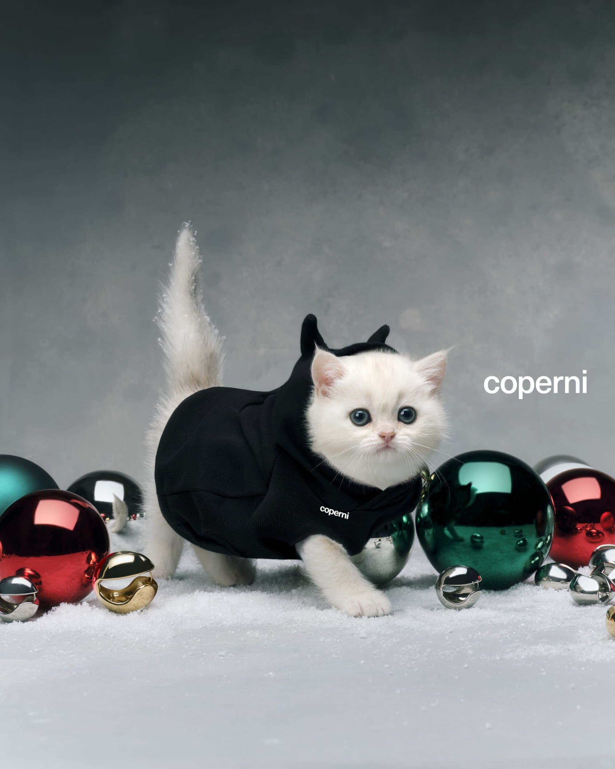 A white kitten, adorned in a black hoodie, is playfully posed among bright Christmas ornaments against a neutral background.