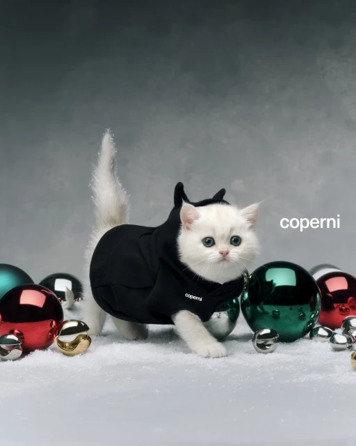 Winter 2023 Ad Campaign