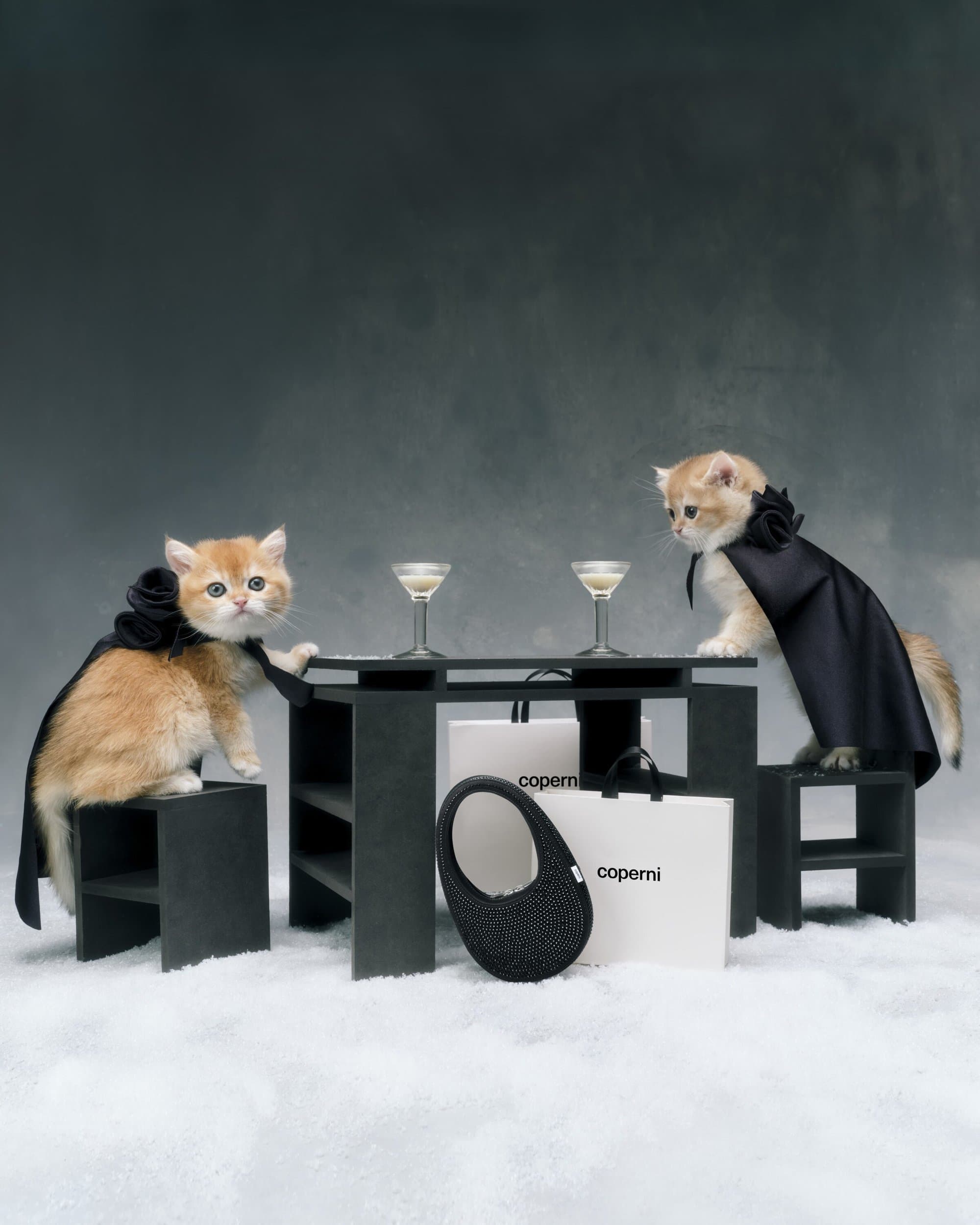Two golden kittens wearing black capes sit on small black tables in front of two cocktail glasses and shopping bags on a snowy surface.