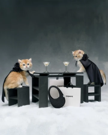 Two golden kittens wearing black capes sit on small black tables in front of two cocktail glasses and shopping bags on a snowy surface.