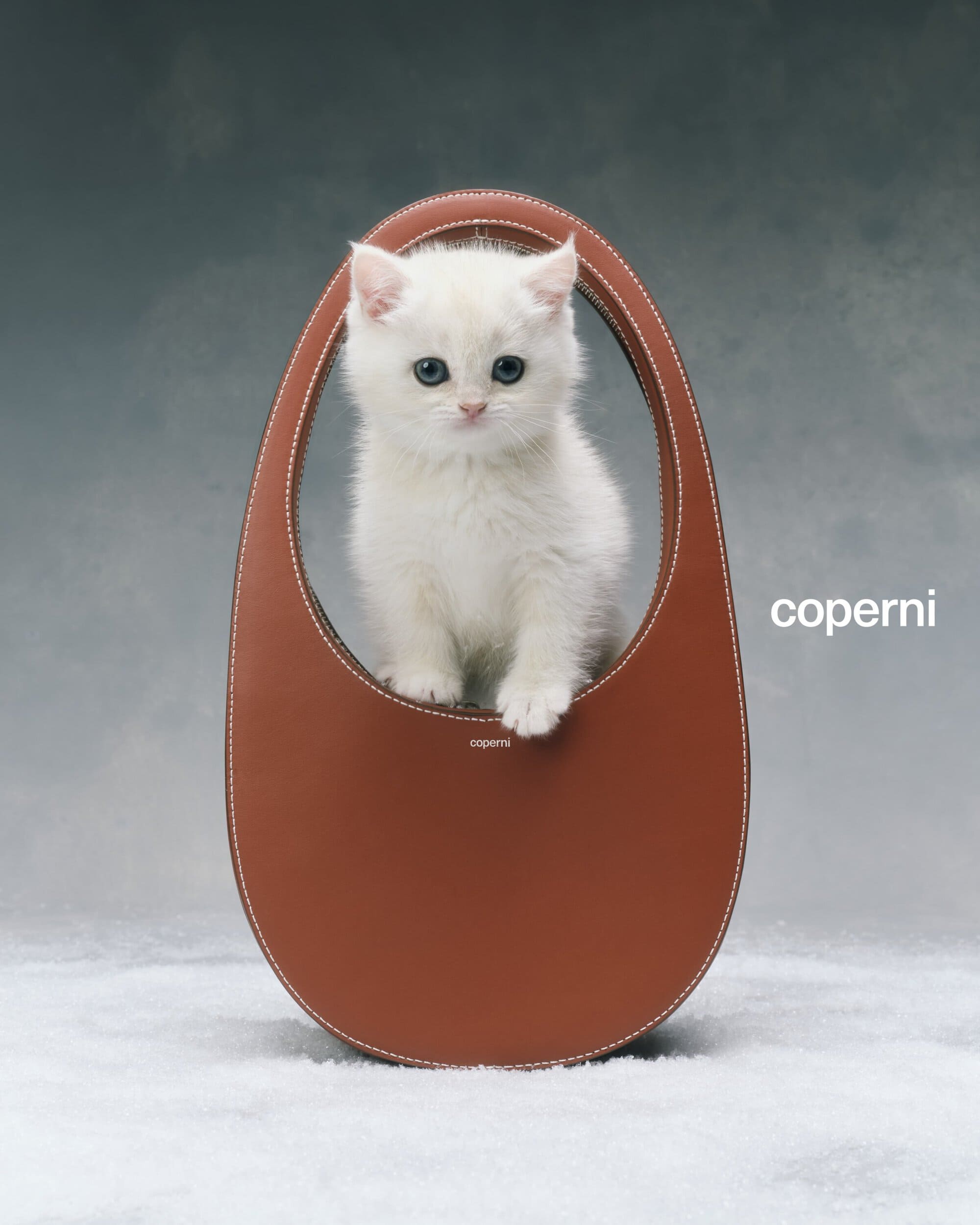 A cute white kitten sits inside a brown Coperni handbag on a white surface, set against a gradient gray background, fashion advertisement.