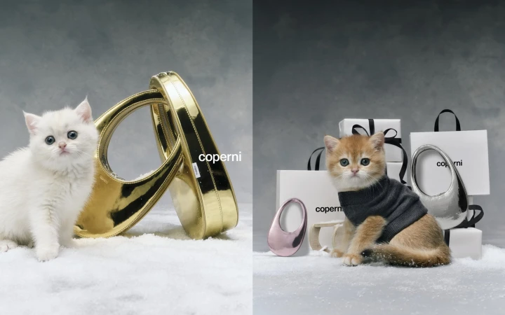 Two kittens, one white and one orange tabby, posed with Coperni handbags and gift boxes against a gradient grey background.