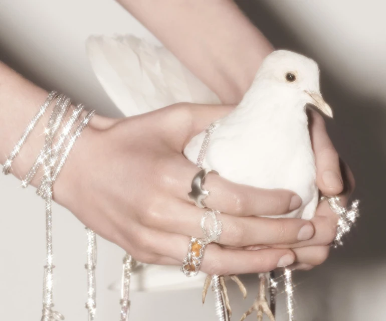 Constantin Schlachter