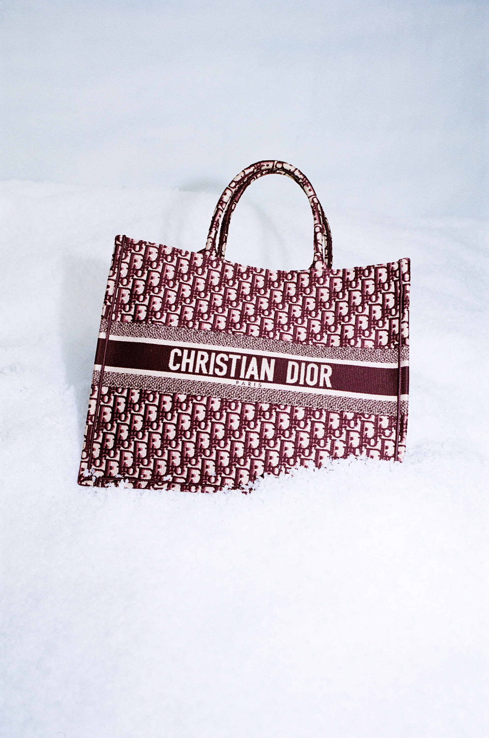 Christian Dior tote bag, displayed on white surface. Brown patterned design with handles, featuring brand name in bold white letters.