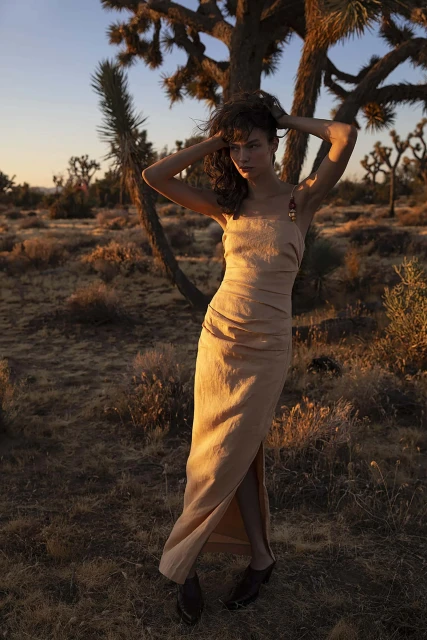 A woman in a dress stands in a desert landscape by a Joshua tree at sunset, creating a warm, sunlit fashion portrait.