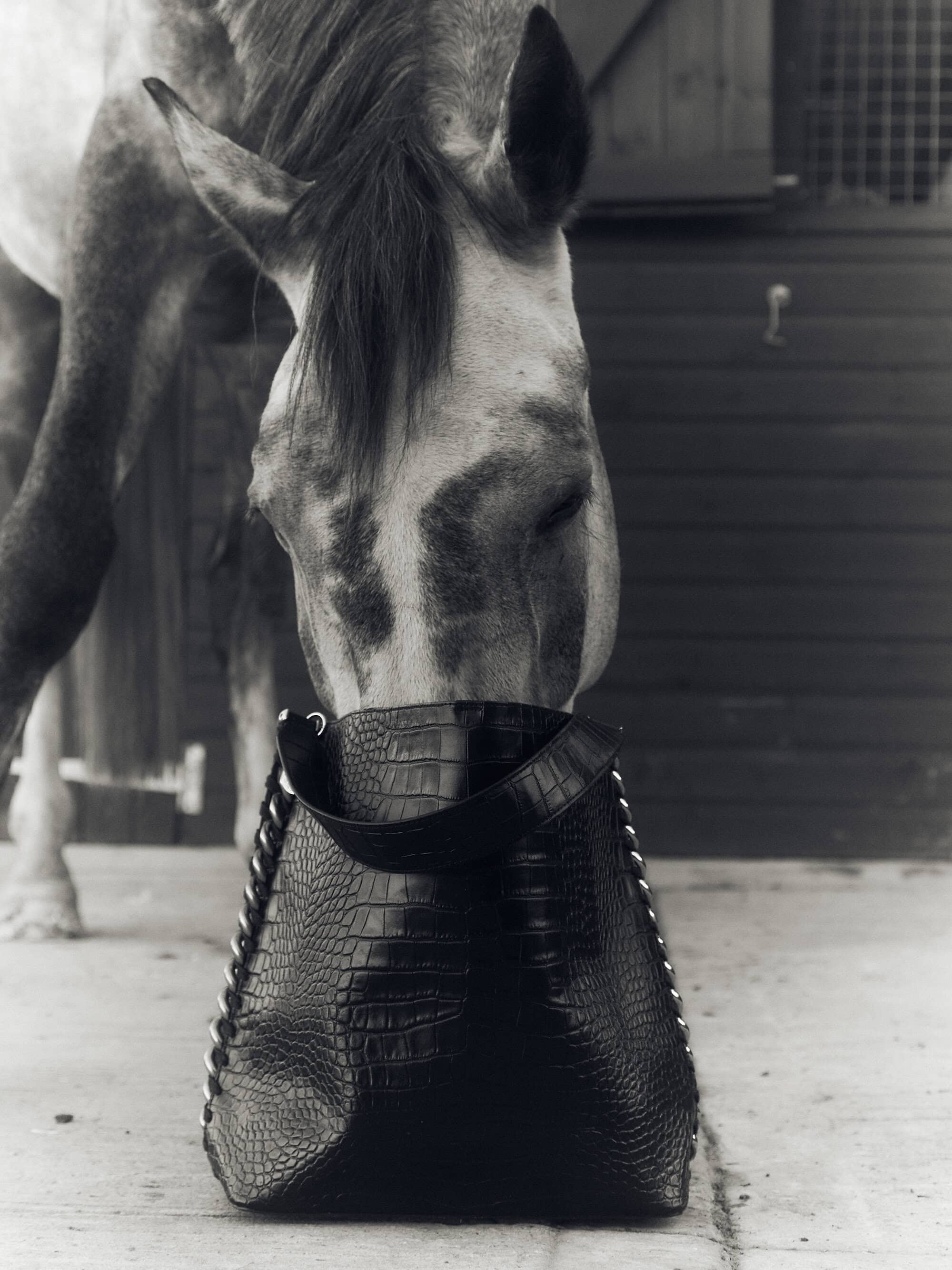 Monochrome shot of a horse appearing to eat a black leather crocodile-skin textured tote bag in front of a wood door.