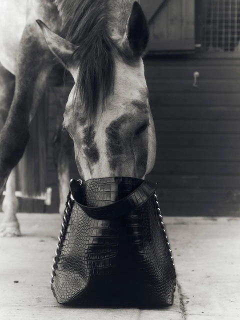 'Healing Power of Horses' 2023 Ad Campaign