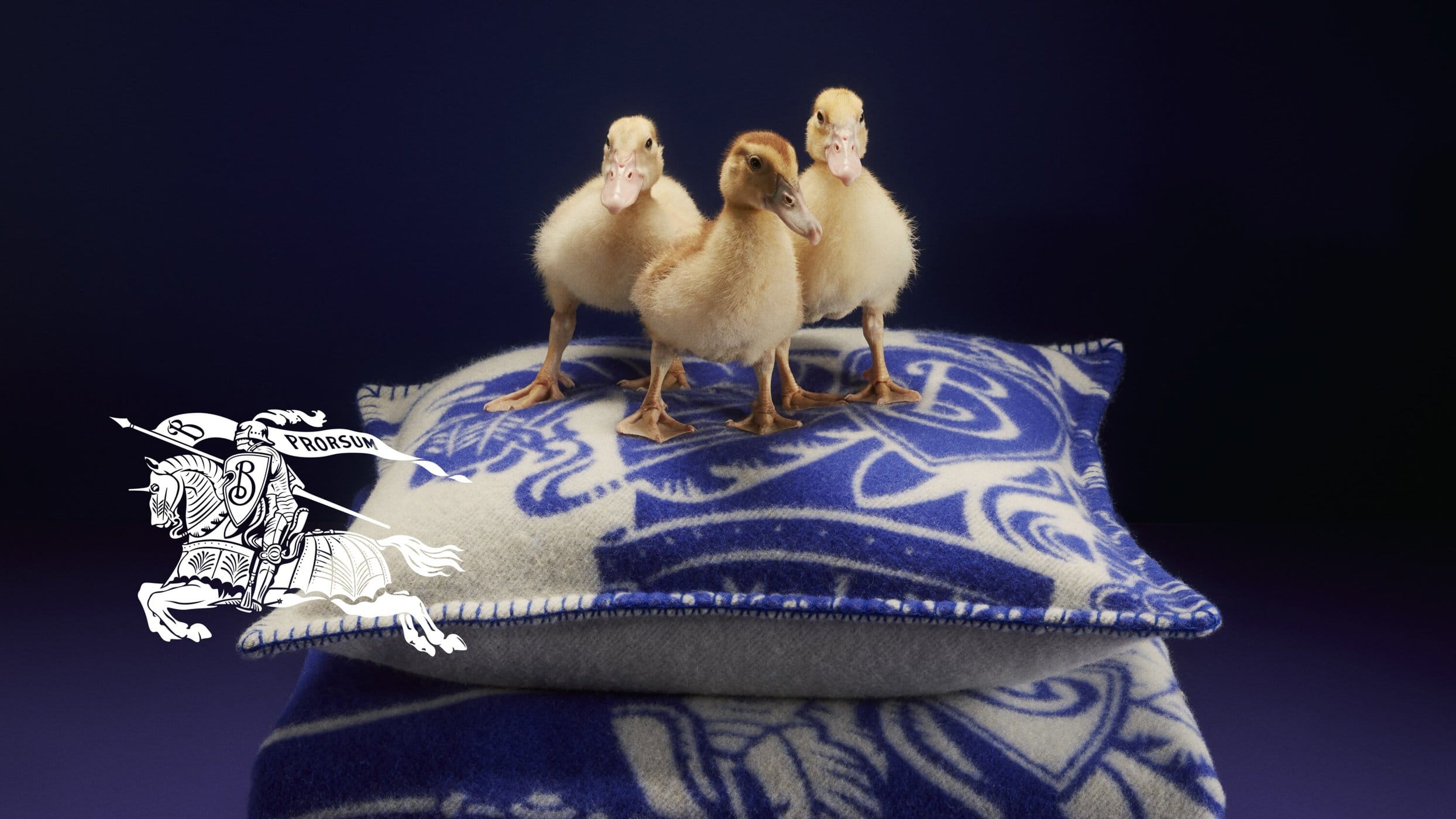 Three ducklings stand on a blue and white patterned pillow. The pillow sits on a blanket against a dark blue background. A crest is visible.