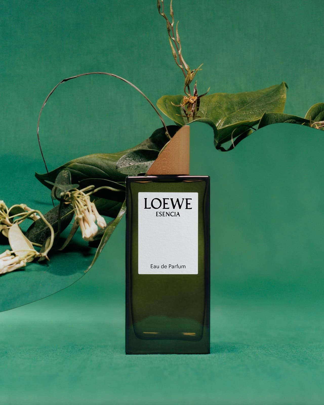 Loewe Esencia Eau de Parfum stands tall amidst green leaves and stems against a mottled green background, highlighting fragrance and nature.