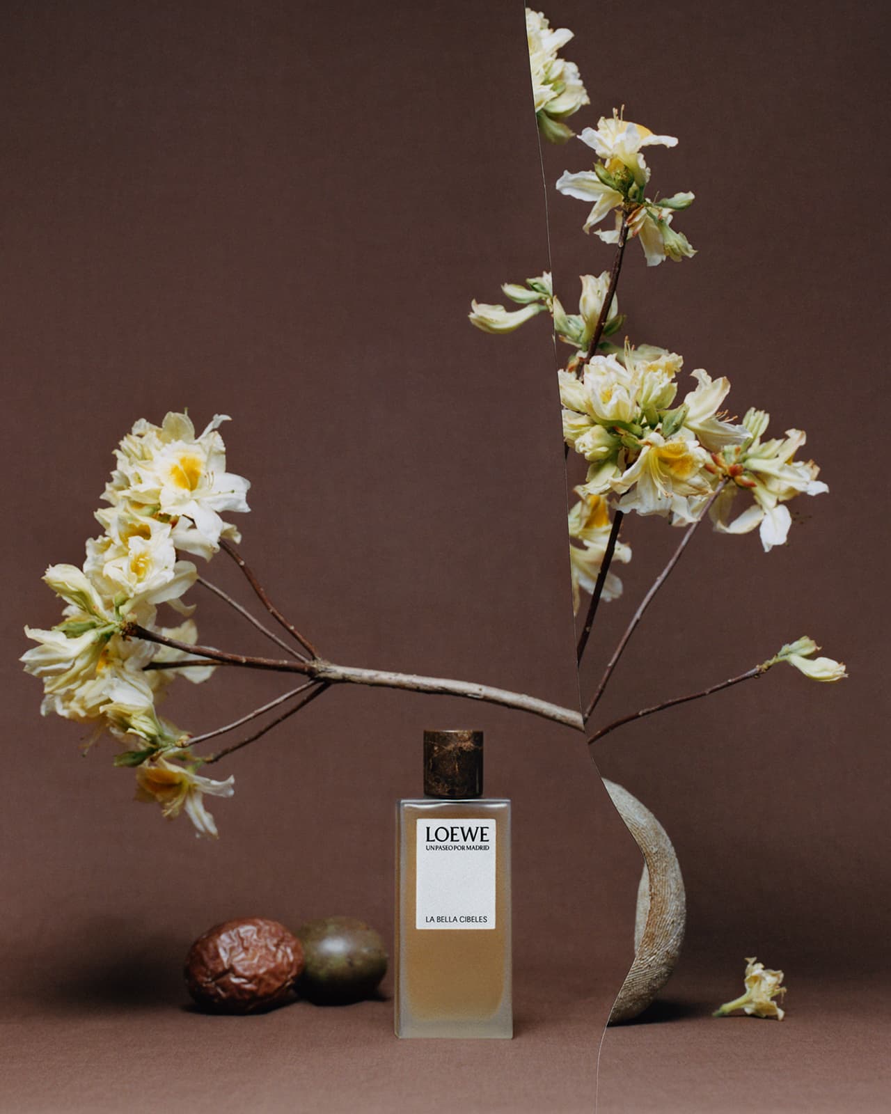 Still life composition of Loewe perfume bottle with white flowering branches and two passion fruits on a brown studio background.