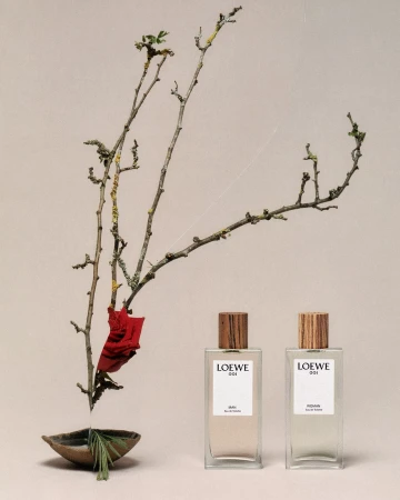 Still life shot featuring Loewe 001 perfumes, arranged with dry branches and a bowl, set against a neutral-toned backdrop. 