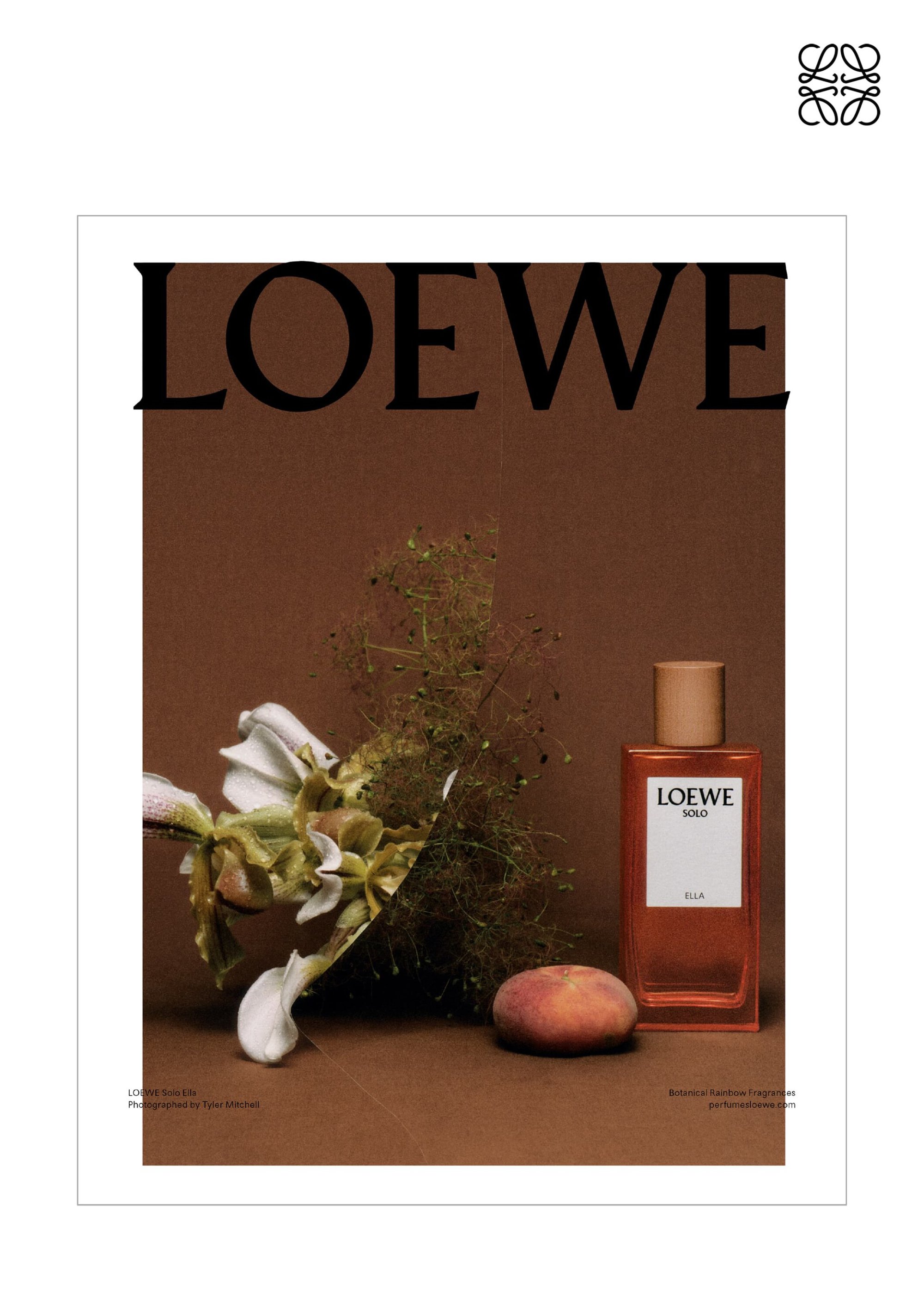 Loewe Solo fragrance displayed with a peach and a white orchid against a brown background, capturing a minimalist and luxurious aesthetic.