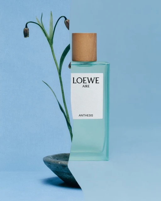 Loewe Aire Anthesis fragrance bottle on a light blue surface with a small stone bowl and plant stem with hanging blooms.
