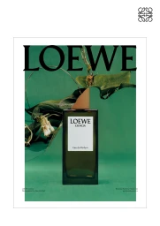 Loewe Esencia Eau de Parfum bottle with a wooden cap centered before green botanical collage cutouts on a green background.
