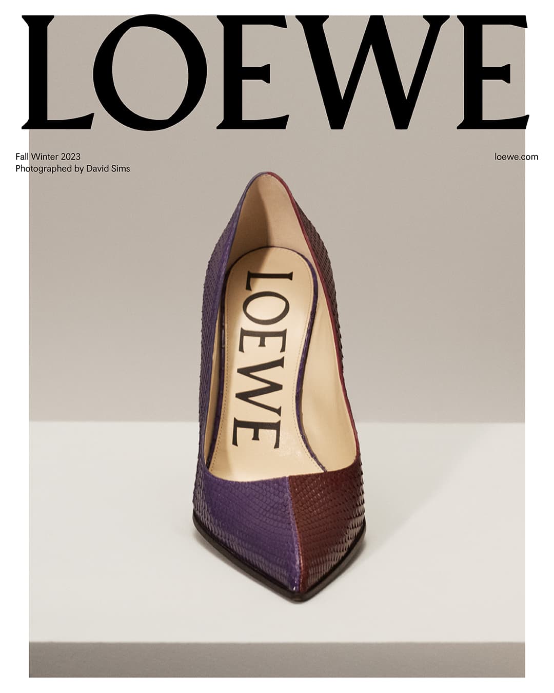 High heel shoe displayed on a white surface. The heel has a two-tone design with the LOEWE brand name on the inner side.