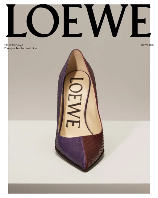 High heel shoe displayed on a white surface. The heel has a two-tone design with the LOEWE brand name on the inner side.