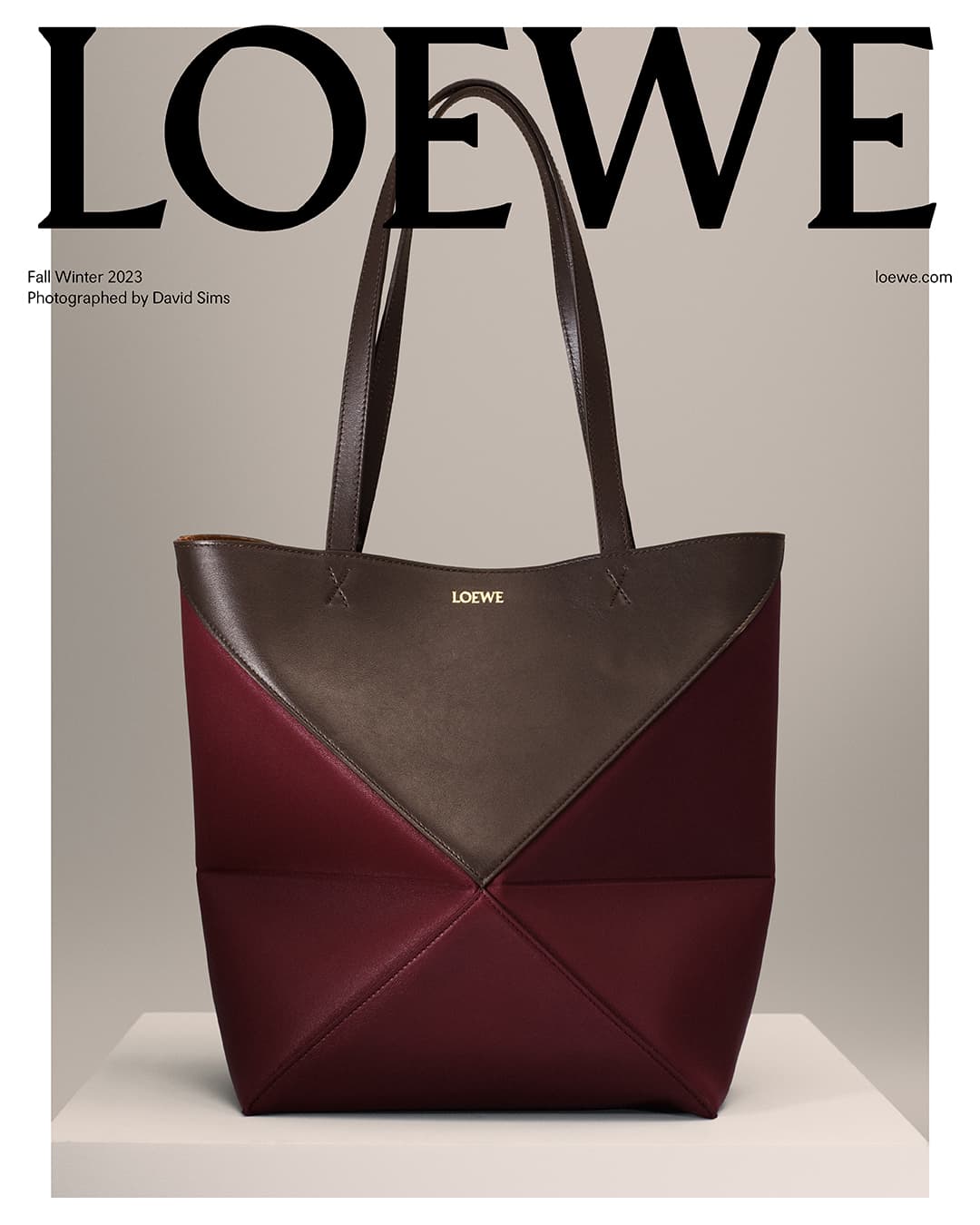 Loewe tote bag in dark brown and burgundy displayed on a white surface with a light grey background, featuring the brand's logo.