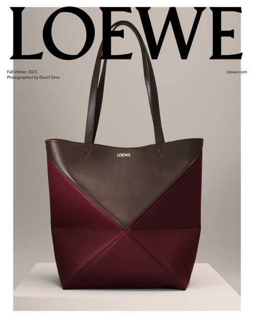 Loewe tote bag in dark brown and burgundy displayed on a white surface with a light grey background, featuring the brand's logo.