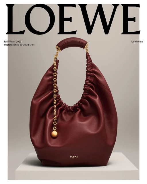 Burgundy Loewe hobo bag with gold chain strap and handle. Studio shot of the leather purse in a fashion advertisement.