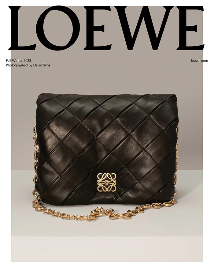 Black woven quilted leather Loewe handbag with a gold chain strap and anagram logo on a neutral studio background.