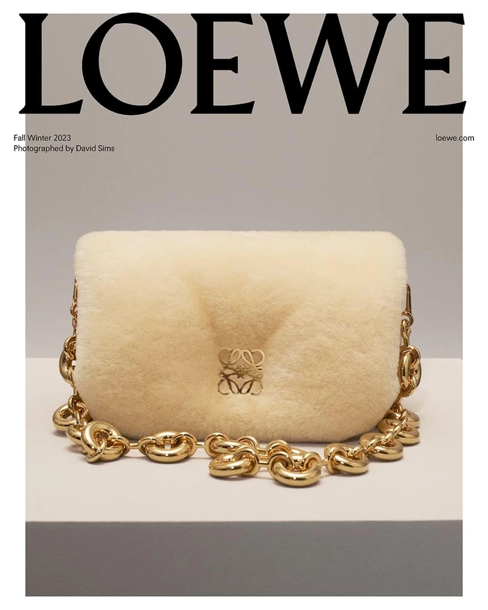 Loewe cream shearling handbag with gold Anagram logo and chunky gold chain strap resting on a white studio surface.