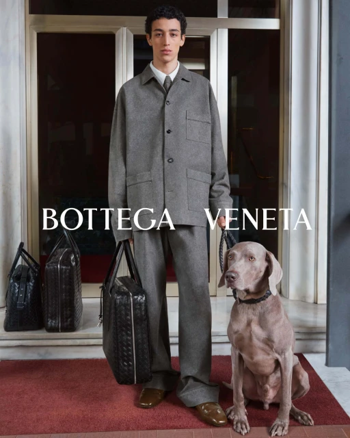 A male model in a gray suit stands with a gray dog beside two black leather briefcases against a door with a red mat. Brand logo visible.