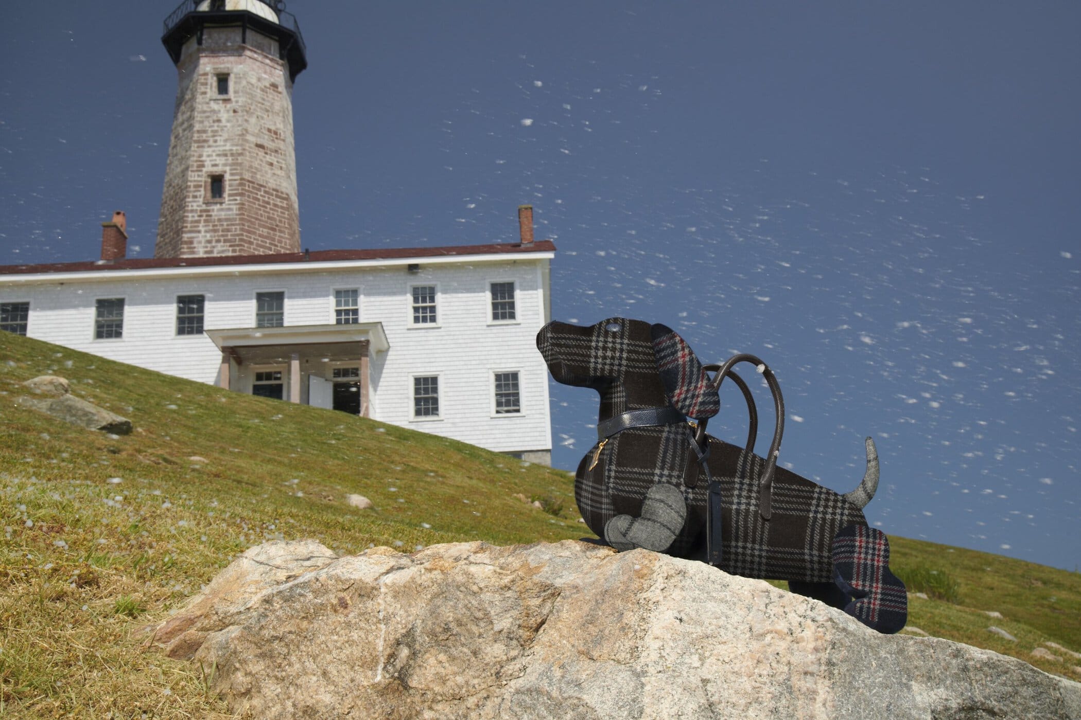 Novelty handbag in the shape of a plaid dog sits on a rock with a lighthouse and grassy hill in the background under a blue sky.