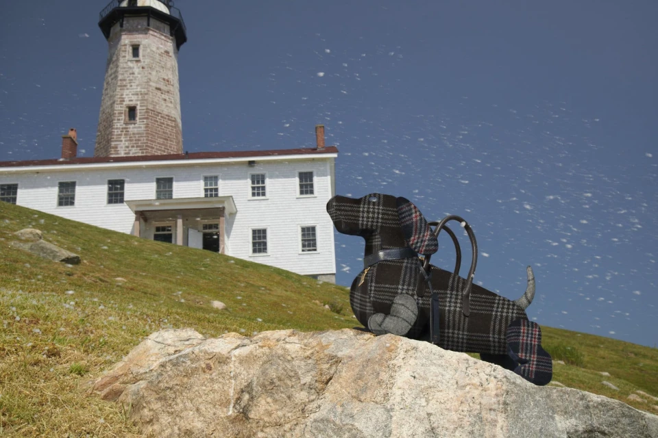 Novelty handbag in the shape of a plaid dog sits on a rock with a lighthouse and grassy hill in the background under a blue sky.