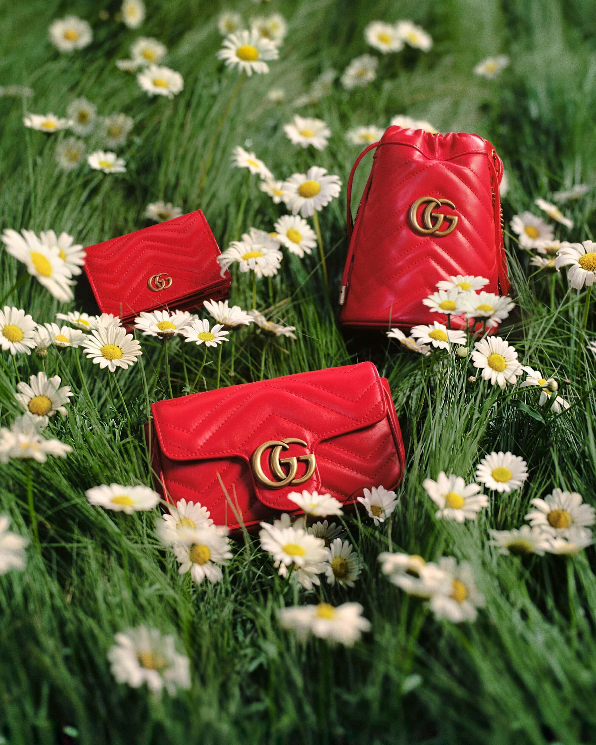 Three red Gucci GG Marmont bags and a wallet arranged on a bed of lush green grass with white daisies, outdoor fashion product shot.