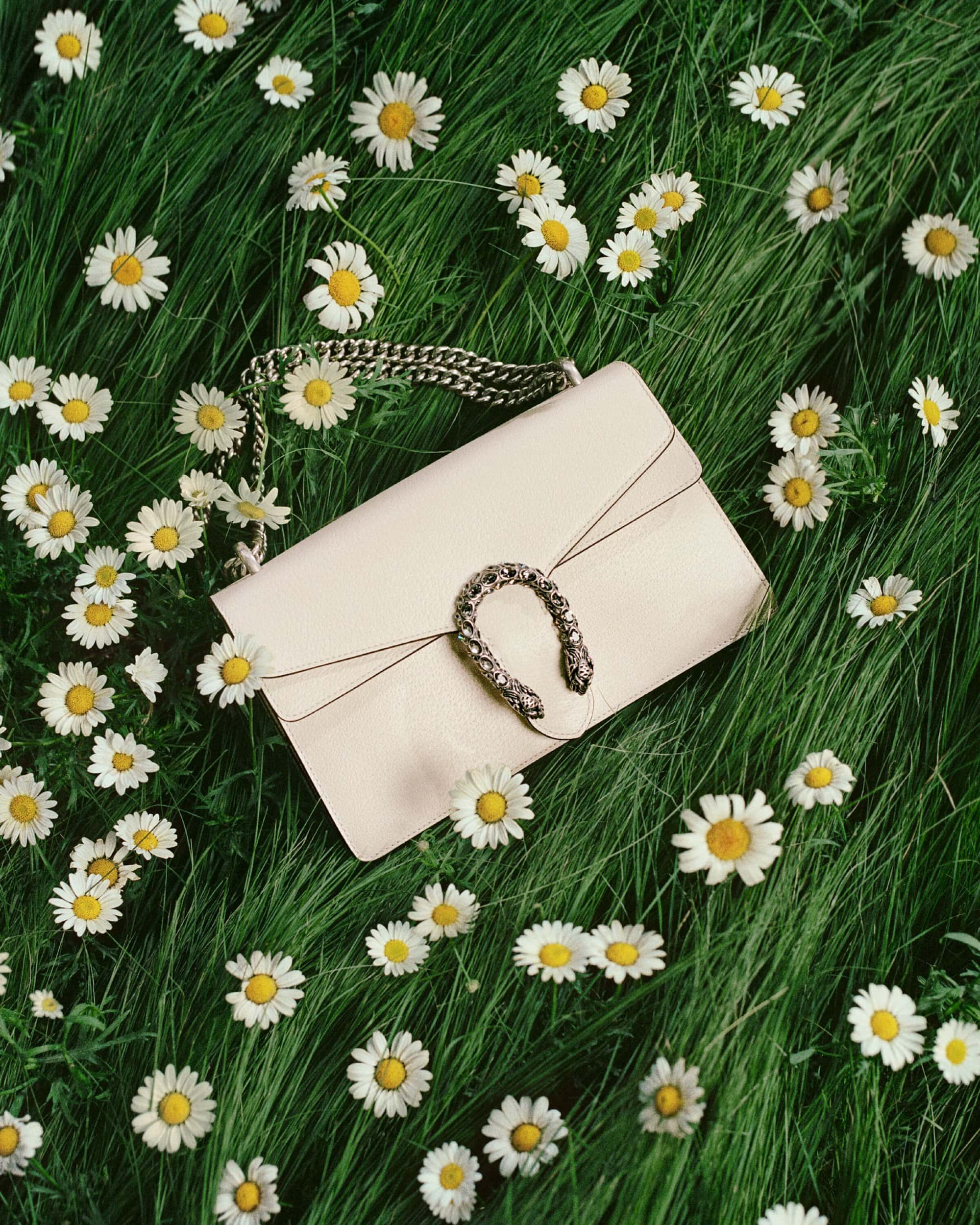 Designer handbag on a background of grass and daisies. Luxury fashion accessory in an outdoor spring setting with natural light.