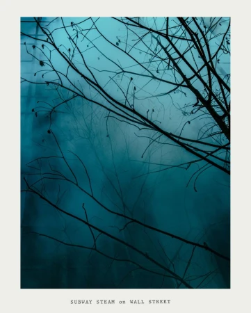 Abstract art photography of leafless tree branches against a blurred teal background, creating a serene and slightly melancholic atmosphere.