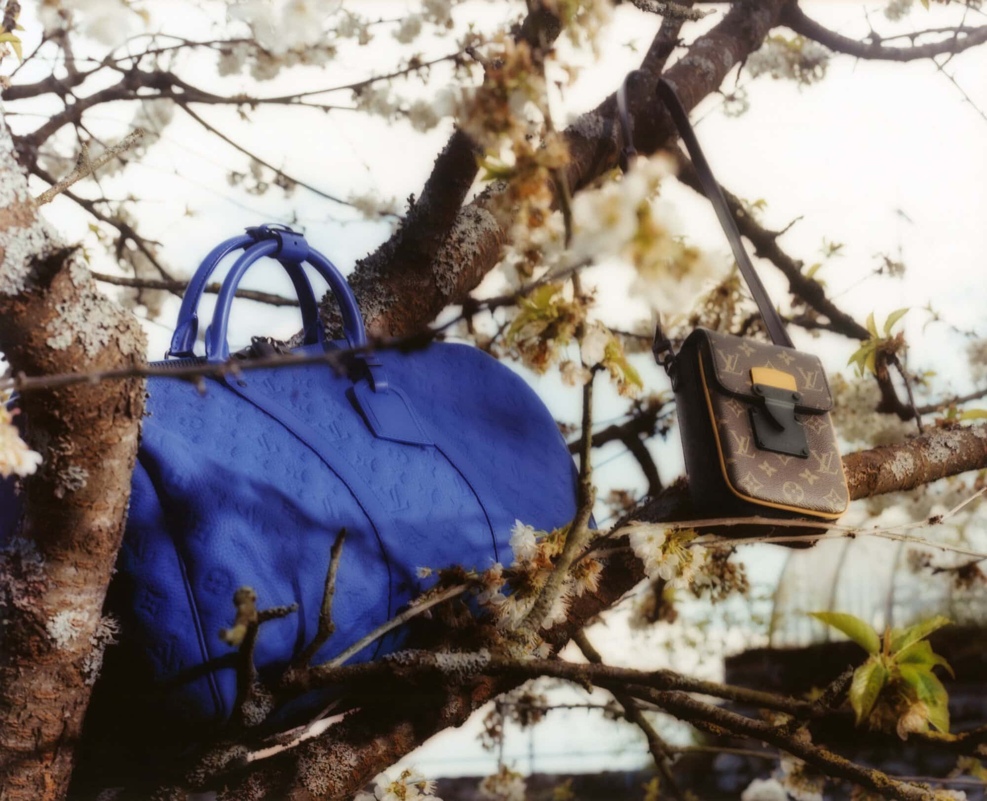 A blue leather duffel bag and a brown monogrammed crossbody bag sit amongst the flowering branches of a tree.