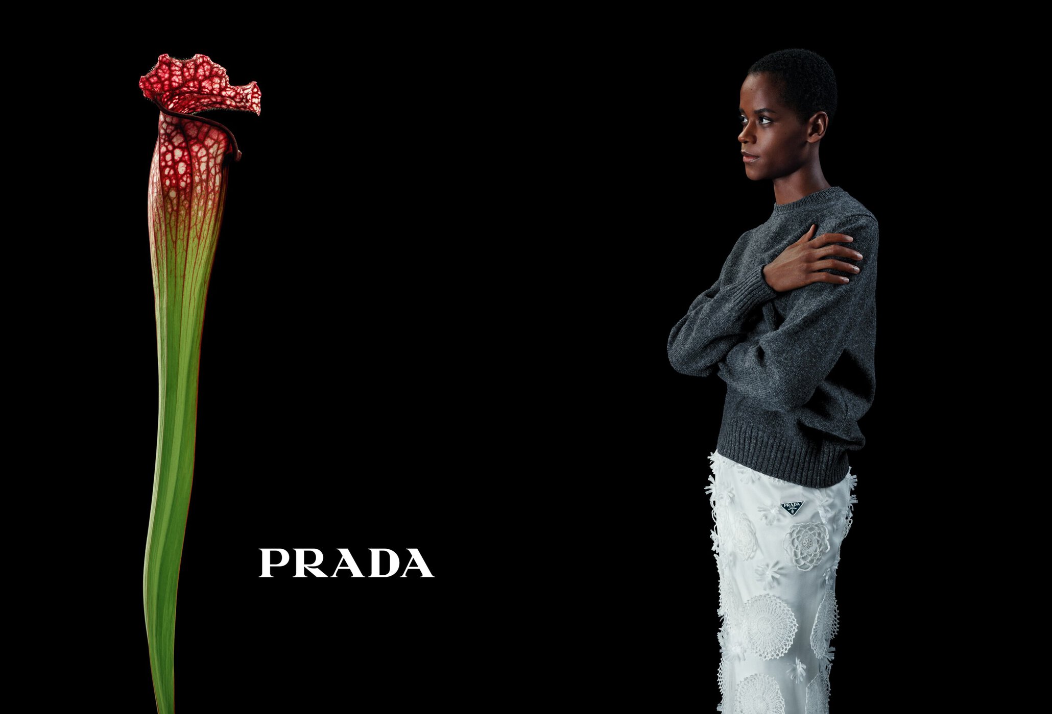 Fashion shot featuring an African woman in gray sweater and white pants, next to a red pitcher plant, against a black backdrop.