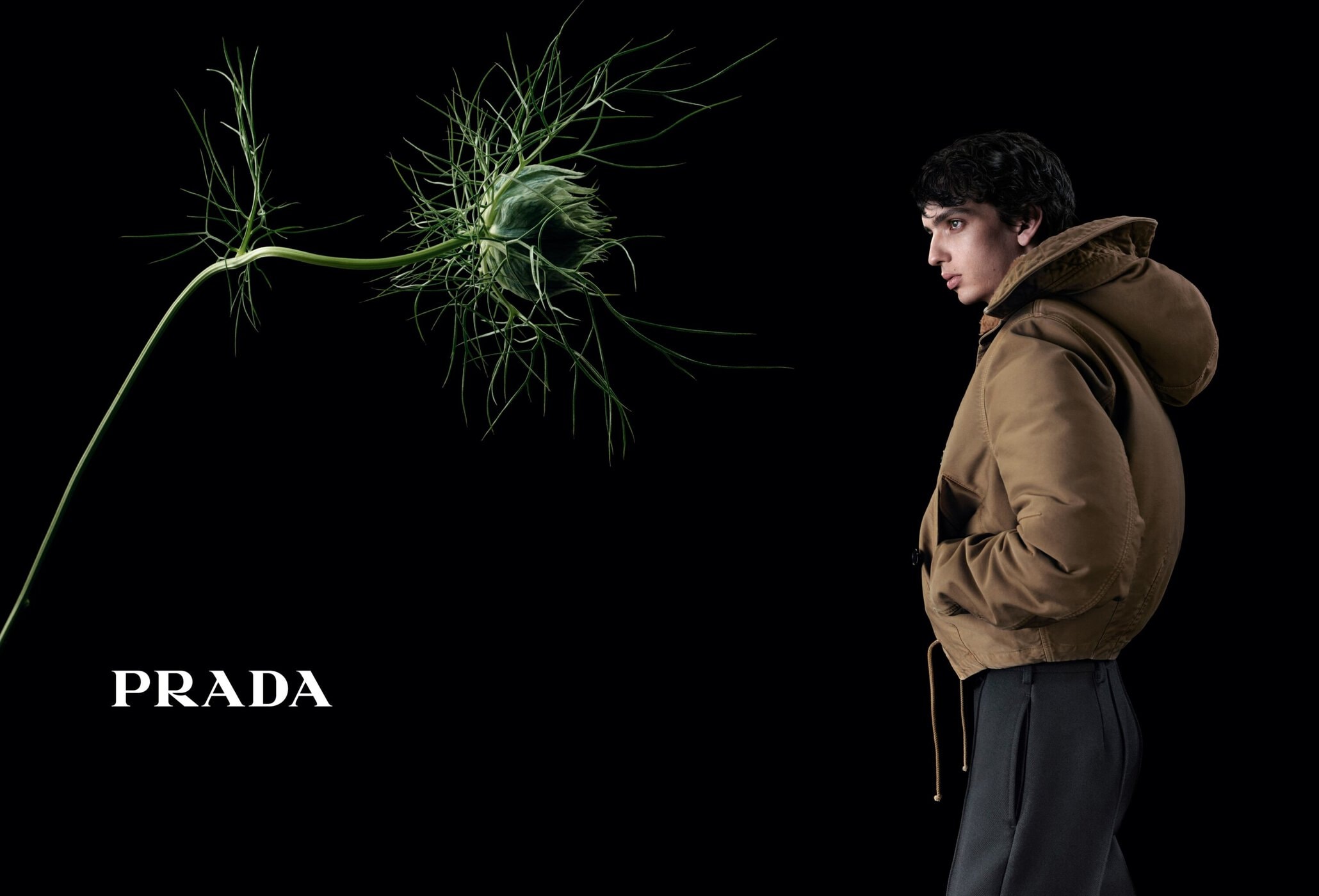 An adult male is featured in a studio shot wearing a brown hooded jacket and grey pants, positioned next to a botanical sprig and the PRADA logo.