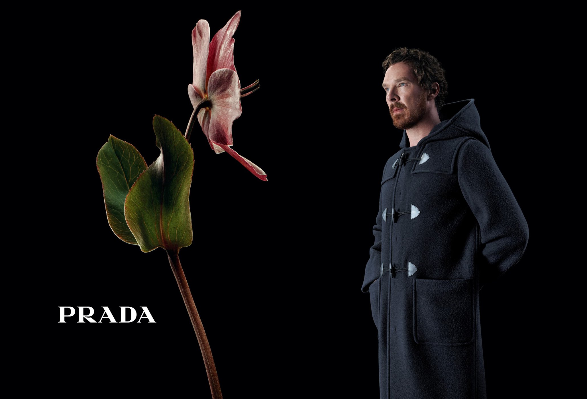 Fashion ad featuring a male model in a long duffle coat alongside a flower against a black backdrop, showcasing Prada branding.