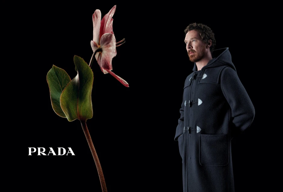 Fall 2023 Ad Campaign
