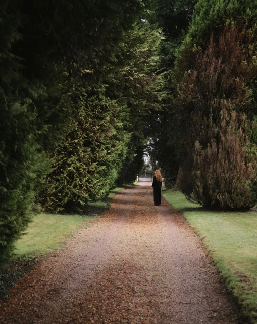 Woman walking along a gravel path lined with tall, green trees in a park. The natural setting and solitary figure create a tranquil scene.