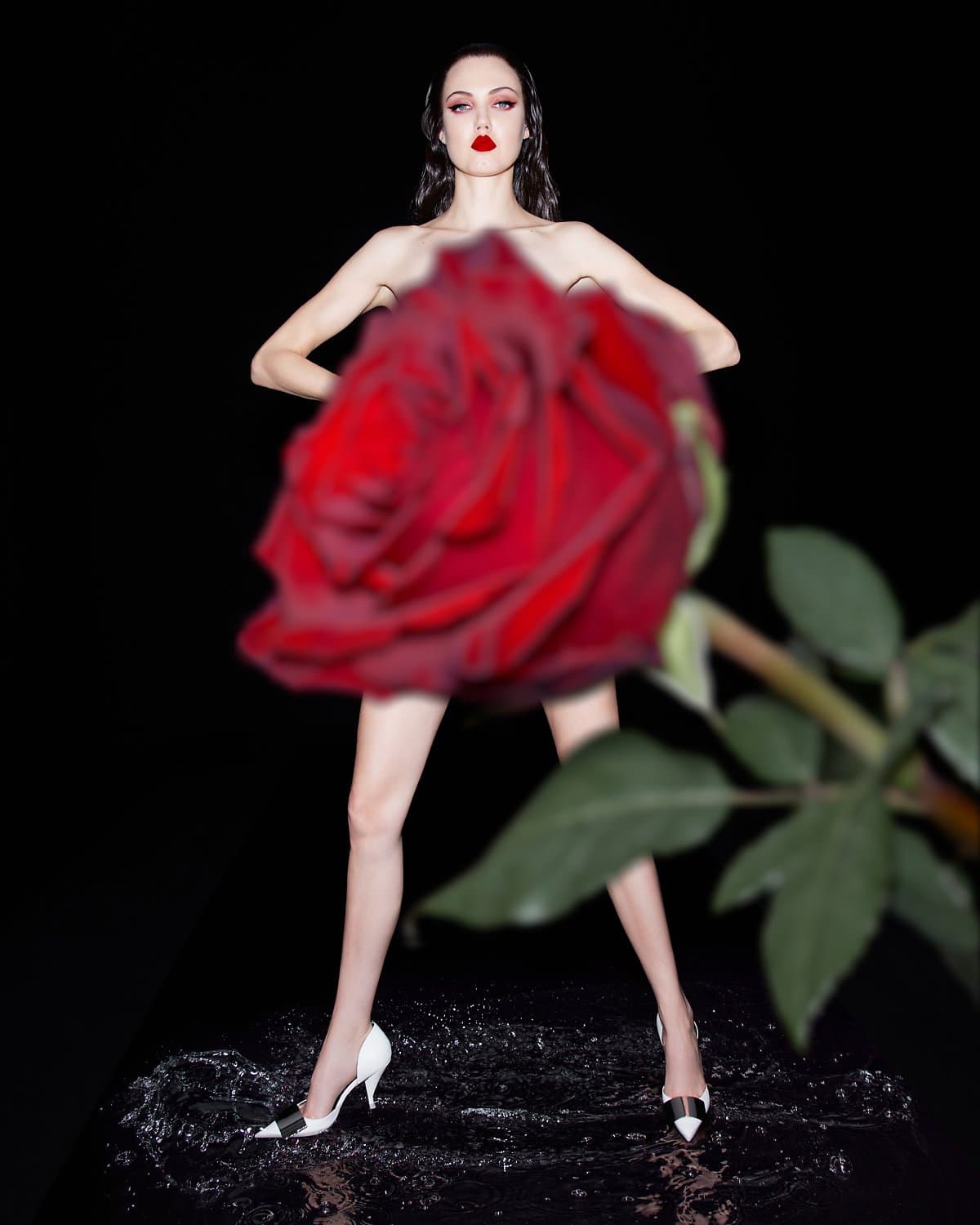 A woman poses with a large rose in a studio, wearing high heels on a wet reflective surface against a black background.