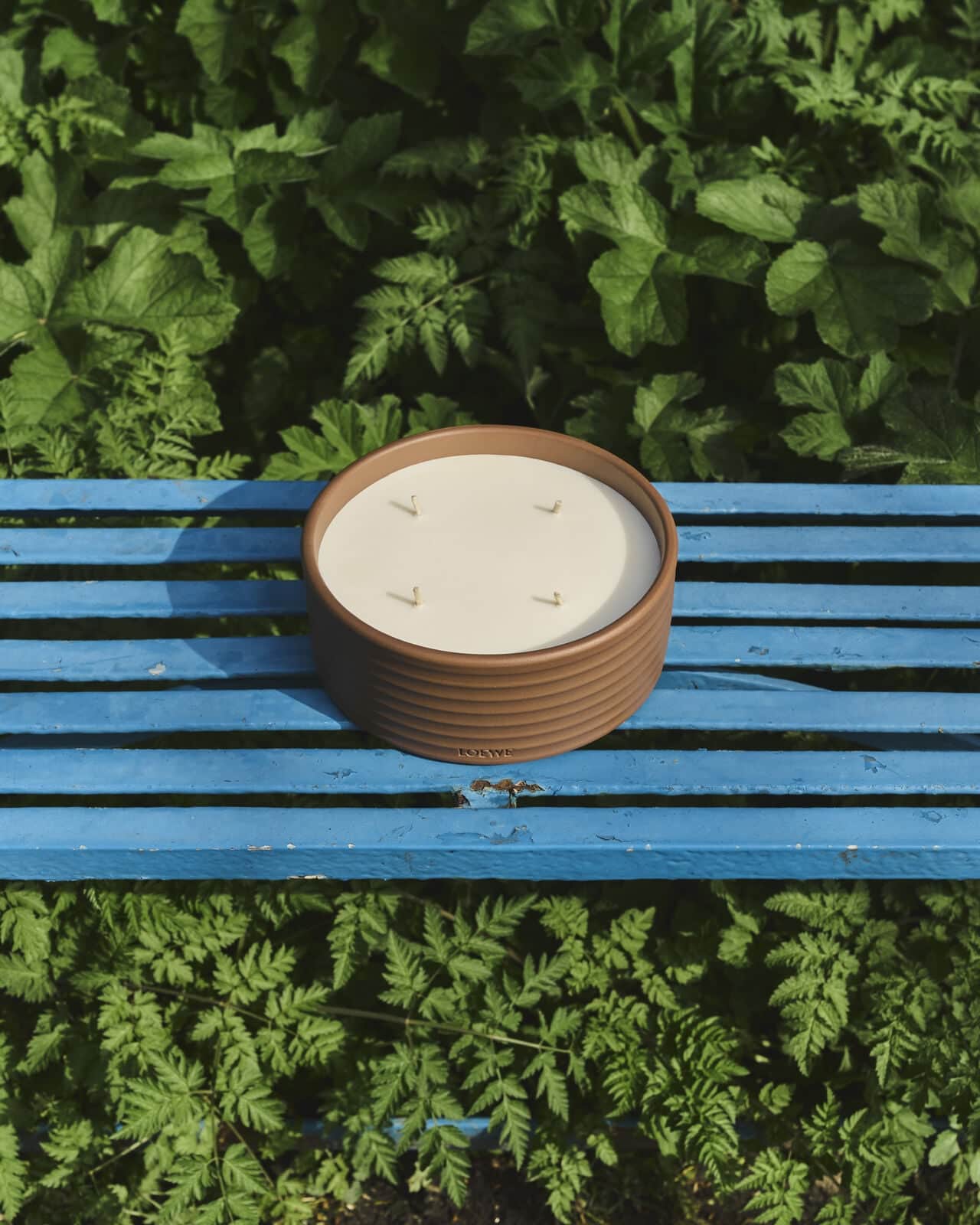 A large candle in a brown ceramic container rests on a blue bench surrounded by green foliage, bathed in natural light.