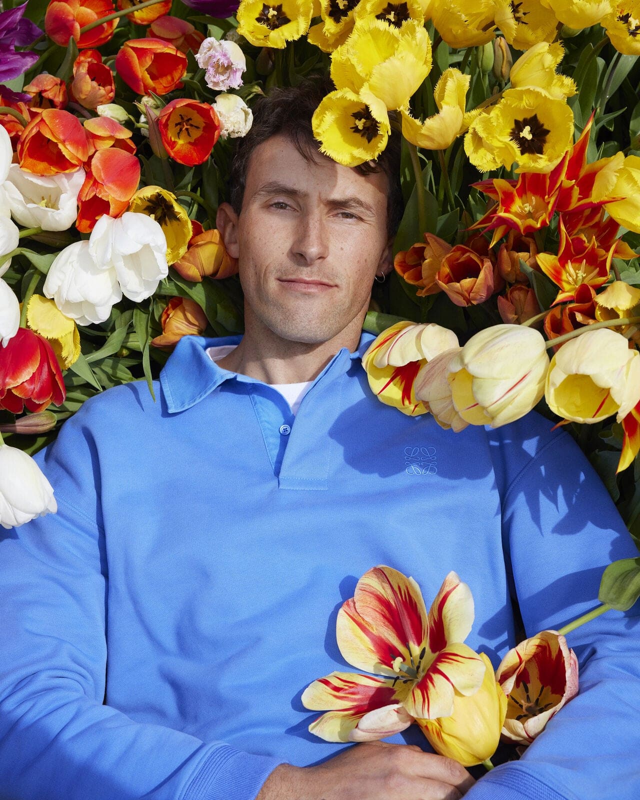 Adult man with light-blue shirt lays among colorful tulips, creating a vibrant contrast between the clothing and the floral setting.