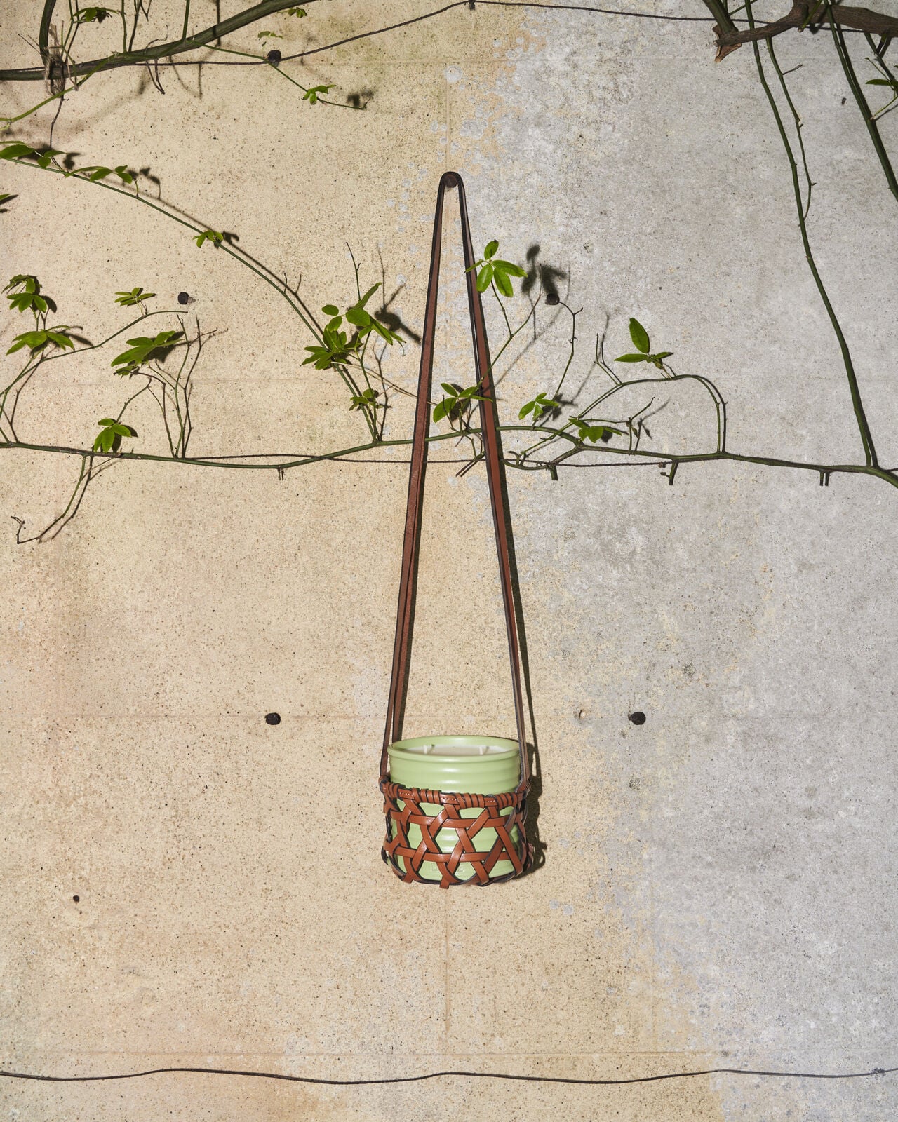 Woven basket with brown handle and a light green inner lining hangs against a textured beige wall with climbing vines.