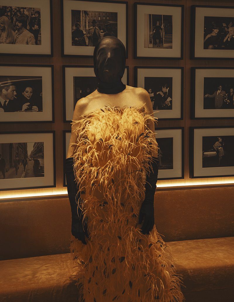 Adult female wearing a feather-covered gown and full face covering standing indoors with framed photos in the background.