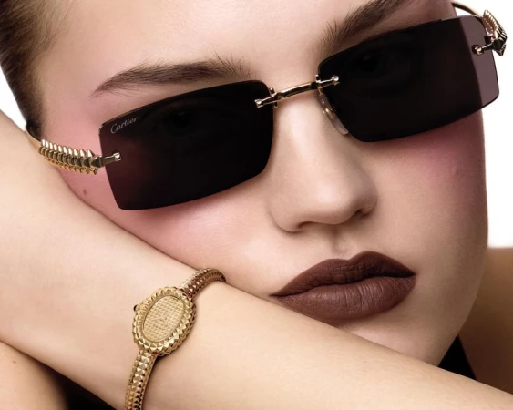 Cartier Special W&W26