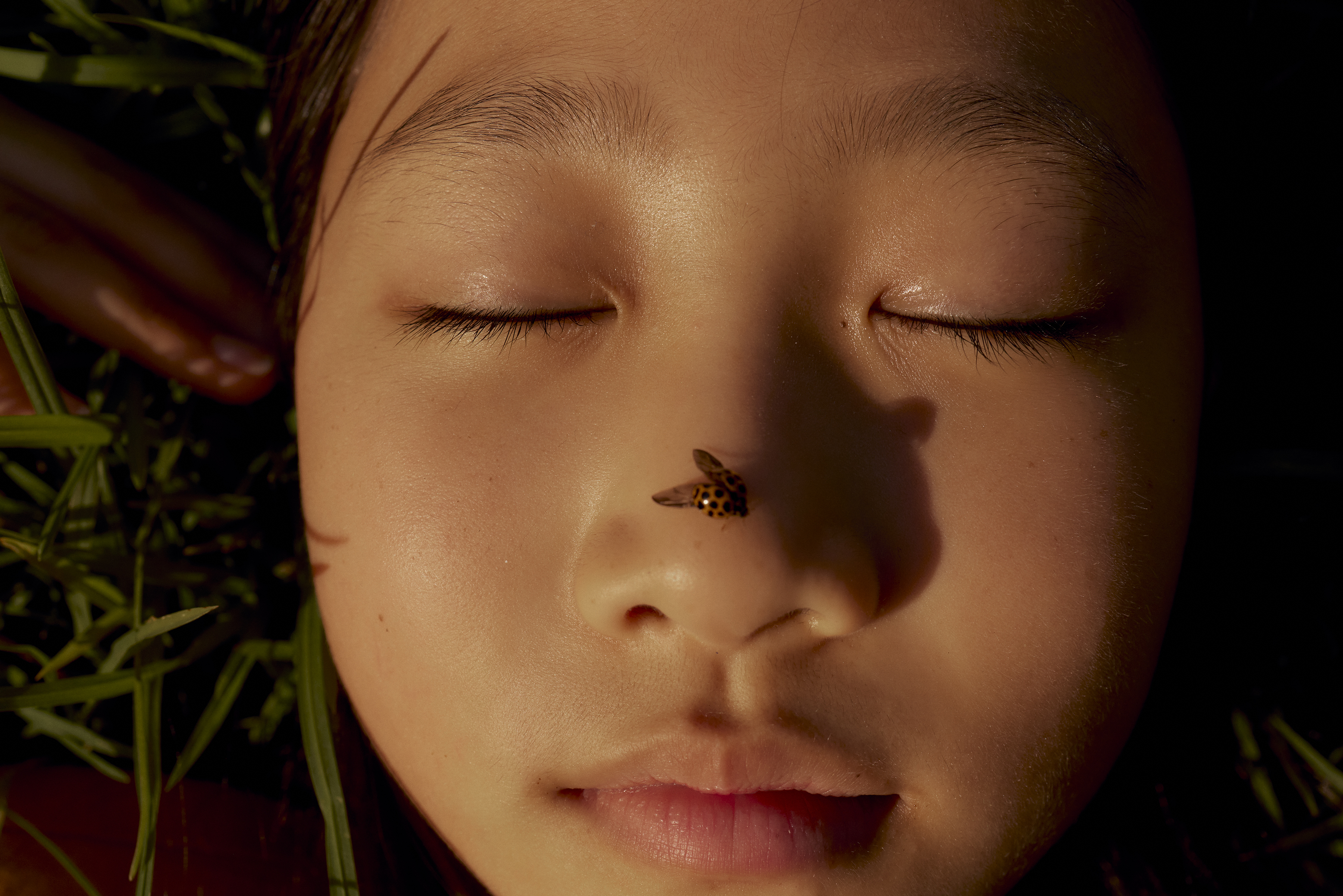 Close-up portrait of a child lying in grass with eyes closed, a ladybug on their nose, warm sunlight creating a peaceful mood.